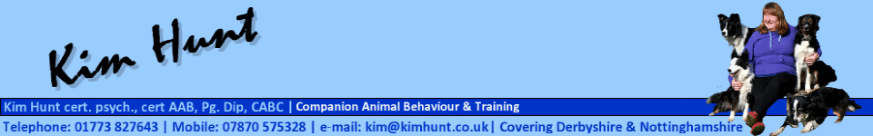 Kim Hunt | Dog Trainer